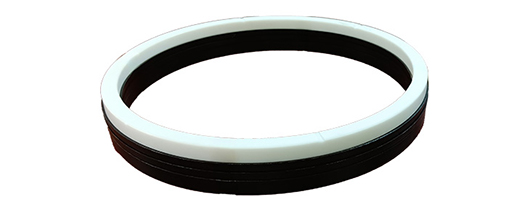 Oil Seal1